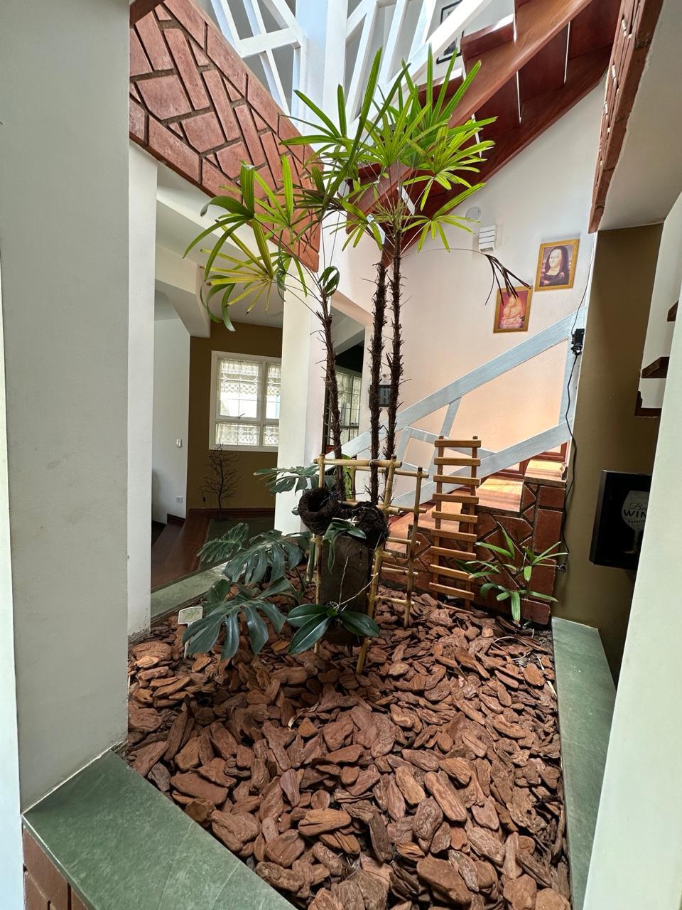 Jardim de inverno com plantas e escada de madeira