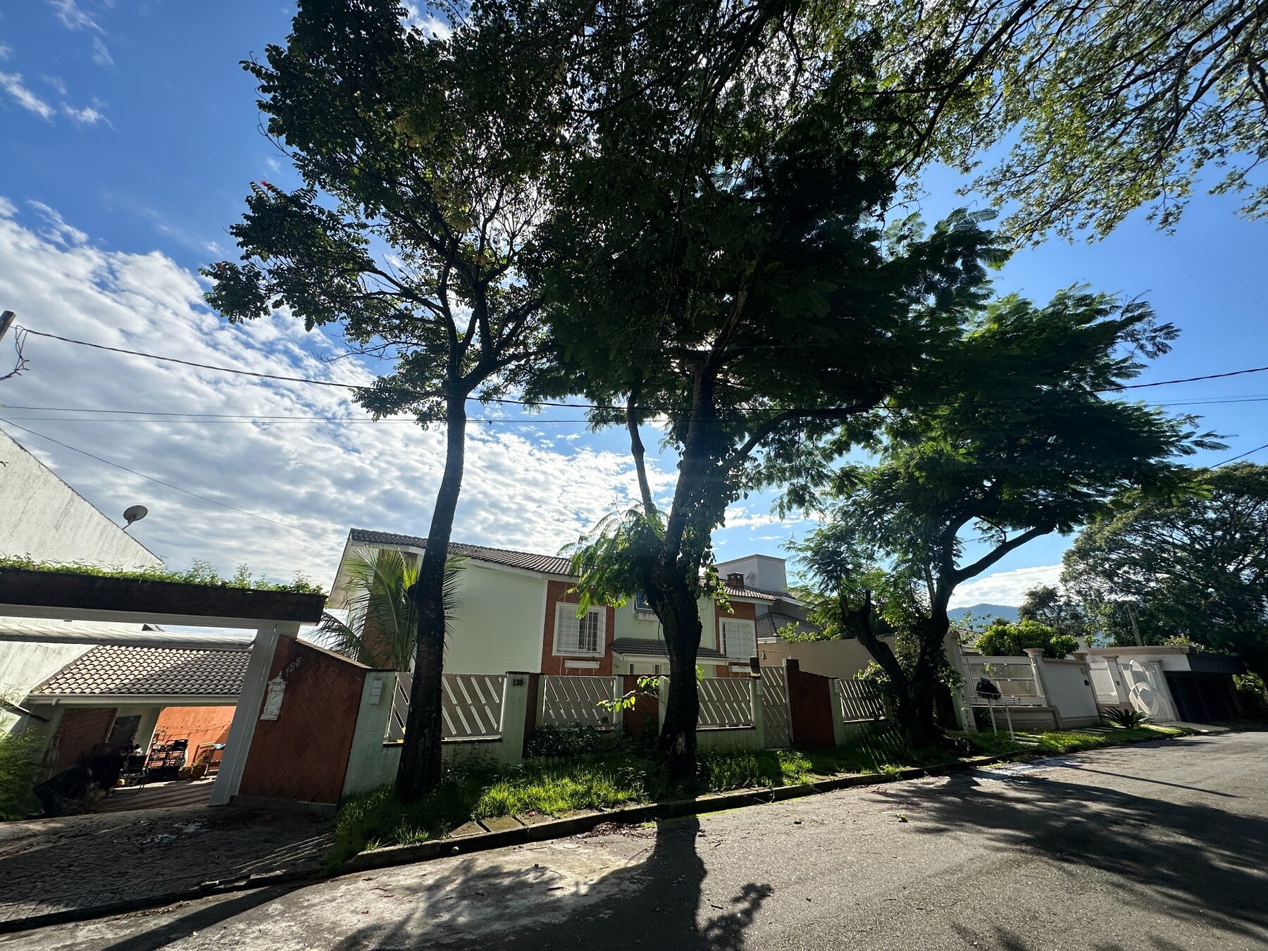 Árvores e casas na rua do bairro