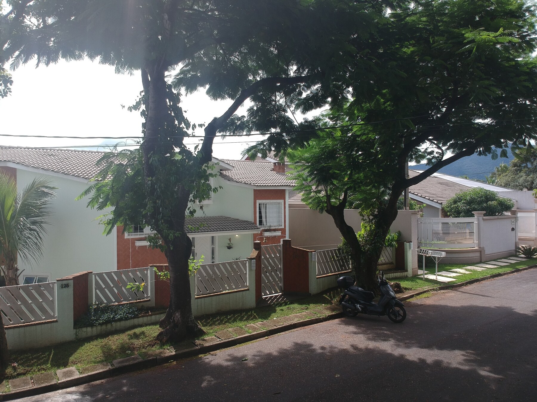 Vista da rua arborizada diante da casa